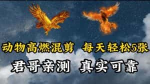 动物超燃混剪，每天轻松5张，剪辑简单大家爱看-优优云创网