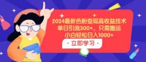 （9480期）2024最新色粉变现高收益技术，单日引流300+，只需搬运，小白轻松日入1000+-优优云创网