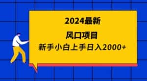 （9483期）2024最新风口项目 新手小白日入2000+-优优云创网
