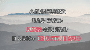 (9487期)小红书短剧赛道,私域引流交易,会复制粘贴,日入500+(附6.7T短剧资源)-优优云创网
