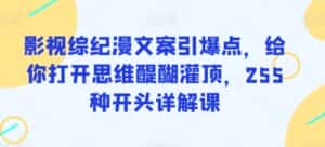 影视综纪漫文案引爆点,给你打开思维醍醐灌顶,255种开头详解课-优优云创网