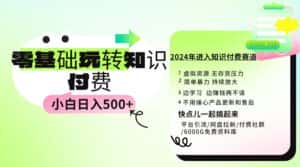 （9505期）0基础知识付费玩法 小白也能日入500+ 实操教程-优优云创网