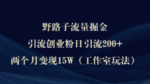 (9513期)野路子流量掘金,引流创业粉日引流200+,两个月变现15W(工作室玩法))-优优云创网