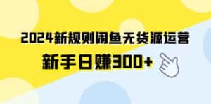 (9522期)2024新规则闲鱼无货源运营新手日赚300+-优优云创网