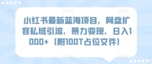 小红书最新蓝海项目,网盘扩容私域引流,暴力变现,日入1000+(附100T占位文件)-优优云创网