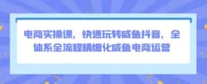 电商实操课,快速玩转咸鱼抖音,全体系全流程精细化咸鱼电商运营-优优云创网