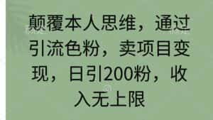 （9523期）颠覆本人思维，通过引流色粉，卖项目变现，日引200粉，收入无上限-优优云创网