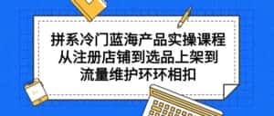 (9527期)拼系冷门蓝海产品实操课程,从注册店铺到选品上架到流量维护环环相扣-优优云创网