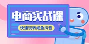 (9528期)电商实战课,快速玩转咸鱼抖音,全体系全流程精细化咸鱼电商运营-71节课-优优云创网