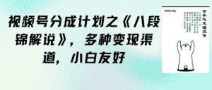 (9537期)视频号分成计划之《八段锦解说》,多种变现渠道,小白友好(教程+素材)-优优云创网