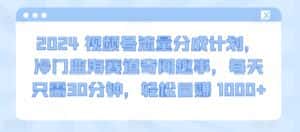 2024视频号流量分成计划，冷门监海赛道奇闻趣事，每天只需30分钟，轻松目赚 1000+-优优云创网