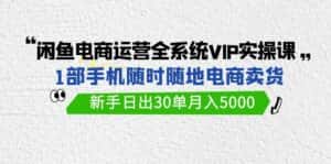 (9547期)闲鱼电商运营全系统VIP实战课,1部手机随时随地卖货,新手日出30单月入5000-优优云创网