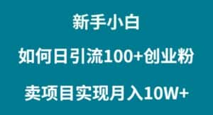 (9556期)新手小白如何通过卖项目实现月入10W+-优优云创网