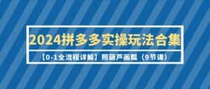 （9559期）2024拼多多实操玩法合集【0-1全流程详解】照葫芦画瓢（9节课）-优优云创网