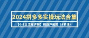 2024拼多多实操玩法合集【0-1全流程详解】照葫芦画瓢(9节课)-优优云创网
