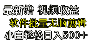 （9569期）发视频撸收益，软件无脑批量剪辑，第一天发第二天就有钱-优优云创网