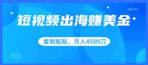 短视频出海赚美金,复制粘贴批量操作,小白轻松掌握,月入4500美刀-优优云创网