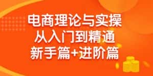 (9576期)电商理论与实操从入门到精通 新手篇+进阶篇-优优云创网