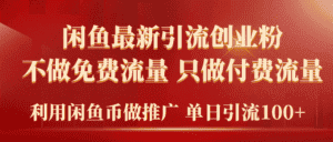 (9584期)2024年闲鱼币推广引流创业粉,不做免费流量,只做付费流量,单日引流100+-优优云创网