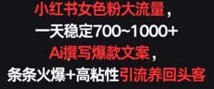 小红书女色粉大流量,一天稳定700~1000+ Ai撰写爆款文案,条条火爆+高粘性引流养回头客-优优云创网