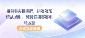 拼多多实操课程,拼多多系统从0到1,教会你拼多多电商运营-优优云创网