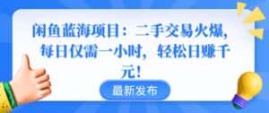 闲鱼蓝海项目:二手交易火爆,每日仅需一小时,轻松日赚千元-优优云创网
