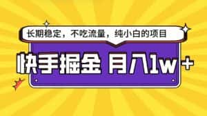 (9609期)快手倔金天花板,小白也能轻松月入1w+-优优云创网
