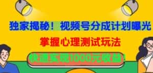 独家揭秘!视频号分成计划曝光,掌握心理测试玩法,快速实现1000元收益-优优云创网