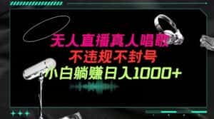 抖音24小时无人直播音乐,不违规,不封号纯撸音浪,小白实操当天日入1000+-优优云创网
