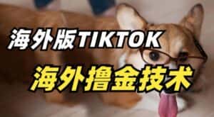 抖音海外版tiktok撸金技术,这个风口行业,赚钱真的不难-优优云创网