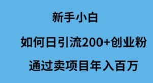 (9668期)新手小白如何日引流200+创业粉通过卖项目年入百万-优优云创网