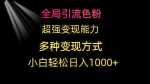 (9680期)全局引流色粉 超强变现能力 多种变现方式 小白轻松日入1000+-优优云创网