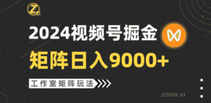 (9709期)【蓝海项目】2024视频号自然流带货,工作室落地玩法,单个直播间日入9000+-优优云创网