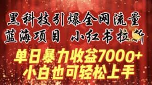 蓝海项目!黑科技引爆全网流量小红书拉新，单日暴力收益7000+，小白也能轻松上手-优优云创网