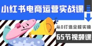 (9724期)小红书电商运营实战课,从0打造全程实操(65节视频课)-优优云创网