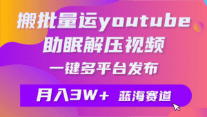 (9727期)批量搬运YouTube解压助眠视频 一键多平台发布 月入2W+-优优云创网