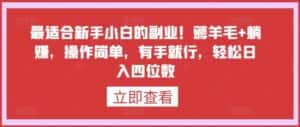 最适合新手小白的副业！薅羊毛+躺赚，操作简单，有手就行，轻松日入四位数-优优云创网