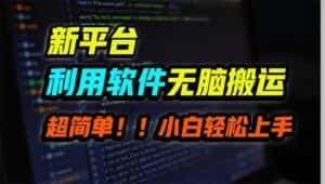(9745期)新平台用软件无脑搬运,月赚10000+,小白也能轻松上手-优优云创网