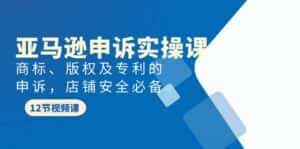 (9754期)亚马逊-申诉实战课,商标、版权及专利的申诉,店铺安全必备-优优云创网