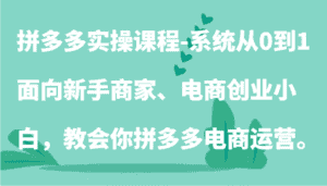 拼多多实操课程-系统从0到1,面向新手商家、电商创业小白,教会你拼多多电商运营。-优优云创网
