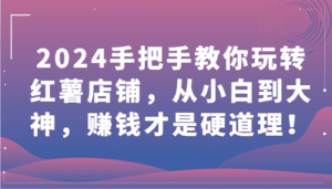 2024手把手教你玩转红薯店铺,从小白到大神,赚钱才是硬道理!-优优云创网