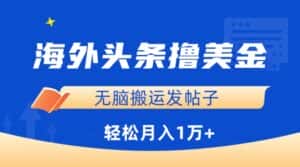 海外头条撸美金,无脑搬运发帖子,月入1万+,小白轻松掌握-优优云创网
