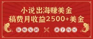 (9765期)小说出海赚美金,稿费月收益2500+美金,仅需chatgpt粘贴复制,新手也能玩转-优优云创网
