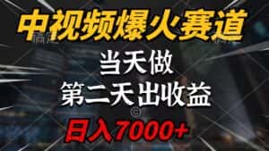 (9773期)中视频计划爆火赛道,当天做,第二天见收益,轻松破百万播放,日入7000+-优优云创网