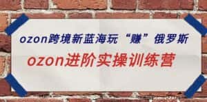 (9800期)ozon跨境新蓝海玩“赚”俄罗斯,ozon进阶实操训练营-优优云创网