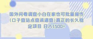 国外问卷调查小白在家也可批量操作(口子查站点查渠道查)真正的长久稳定项目 日入1500+-优优云创网