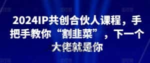 2024IP共创合伙人课程，手把手教你“割韭菜”，下一个大佬就是你-优优云创网