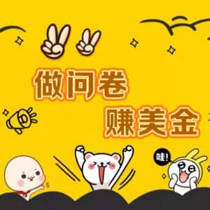 国外问卷调查小白家也可批量操作(口子查站点查渠道查)真正的长久稳定项目 日入1500+-优优云创网