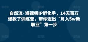 自然流·短视频IP孵化手,14天百万爆款了训练营,带你迈出“月入5w新职业”第一步-优优云创网