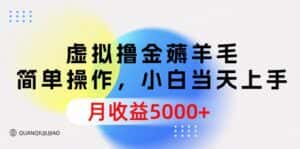 （9864期）虚拟撸金薅羊毛，简单操作，小白当天上手，月收益5000+-优优云创网